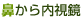 鼻から内視鏡